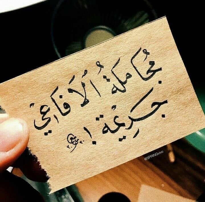 زياد ماجد سعود القفيدي