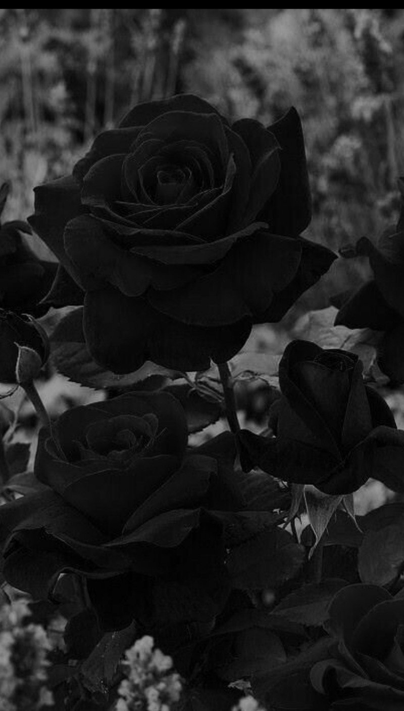 نوف الدوسري