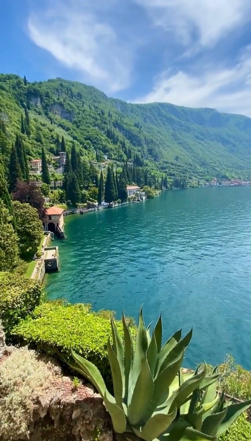 خليل الشيخي