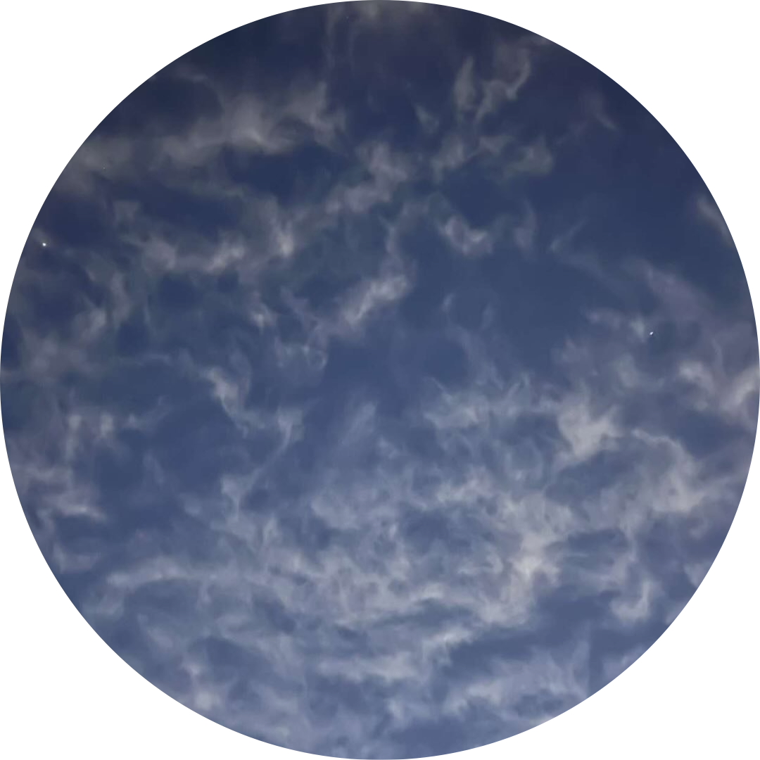 ديما العنزي