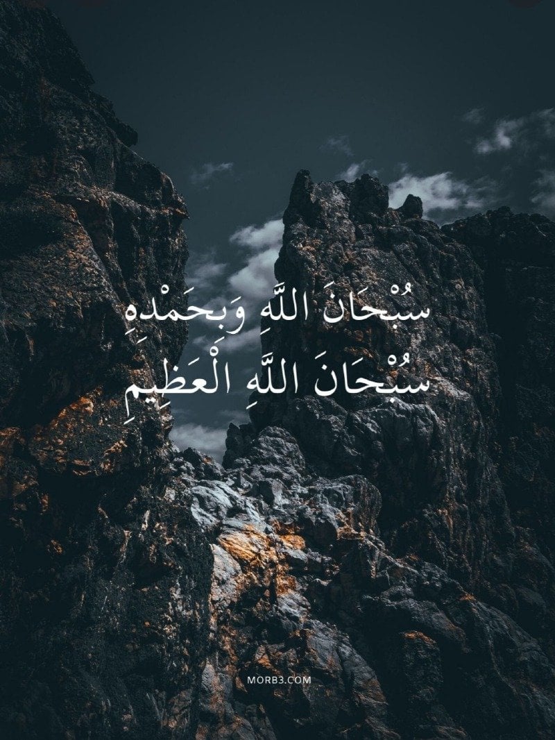 ف د