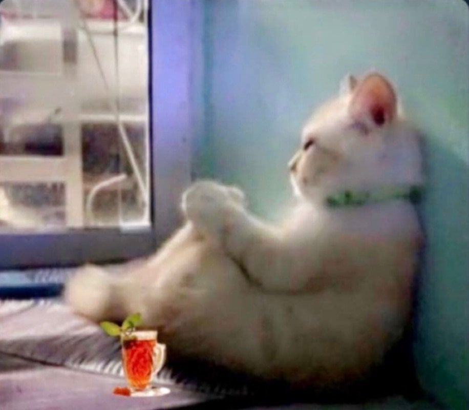 مريم عبدالله