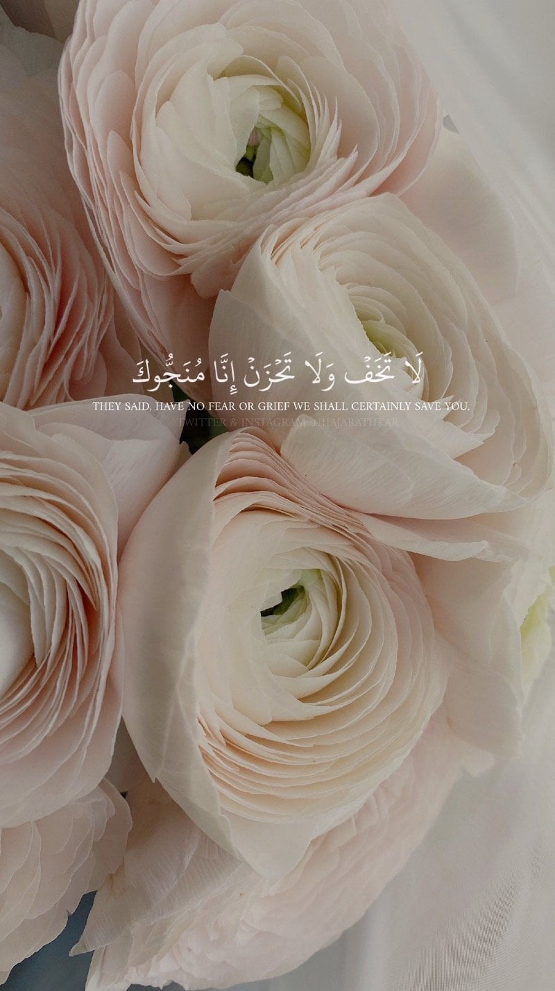 نوف العتيبي