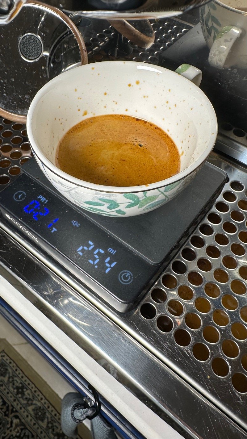 شيماء الجديبي