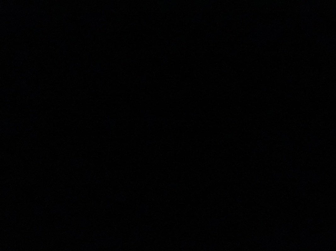 فاطمه المهيني
