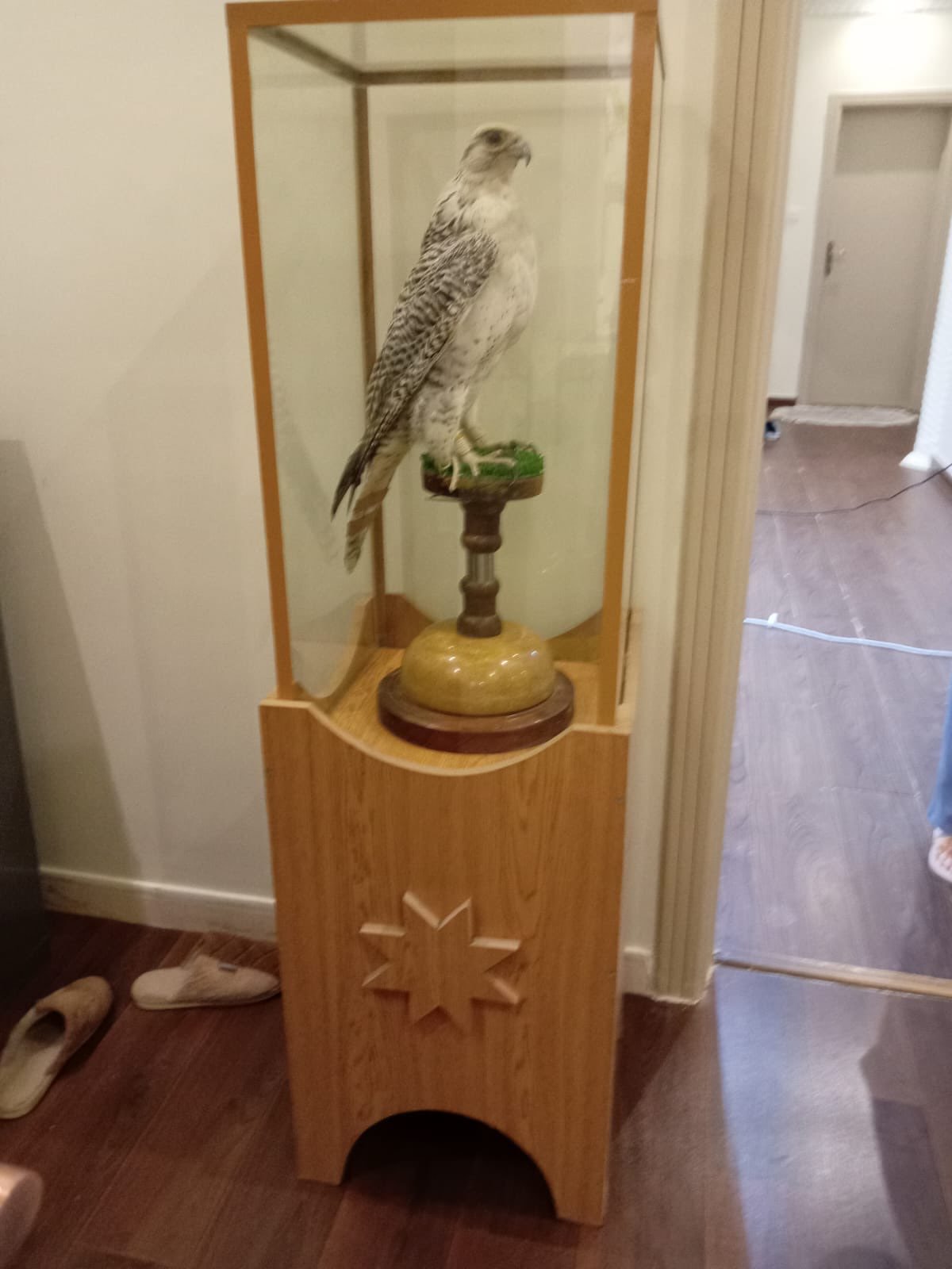 محمد اليامي