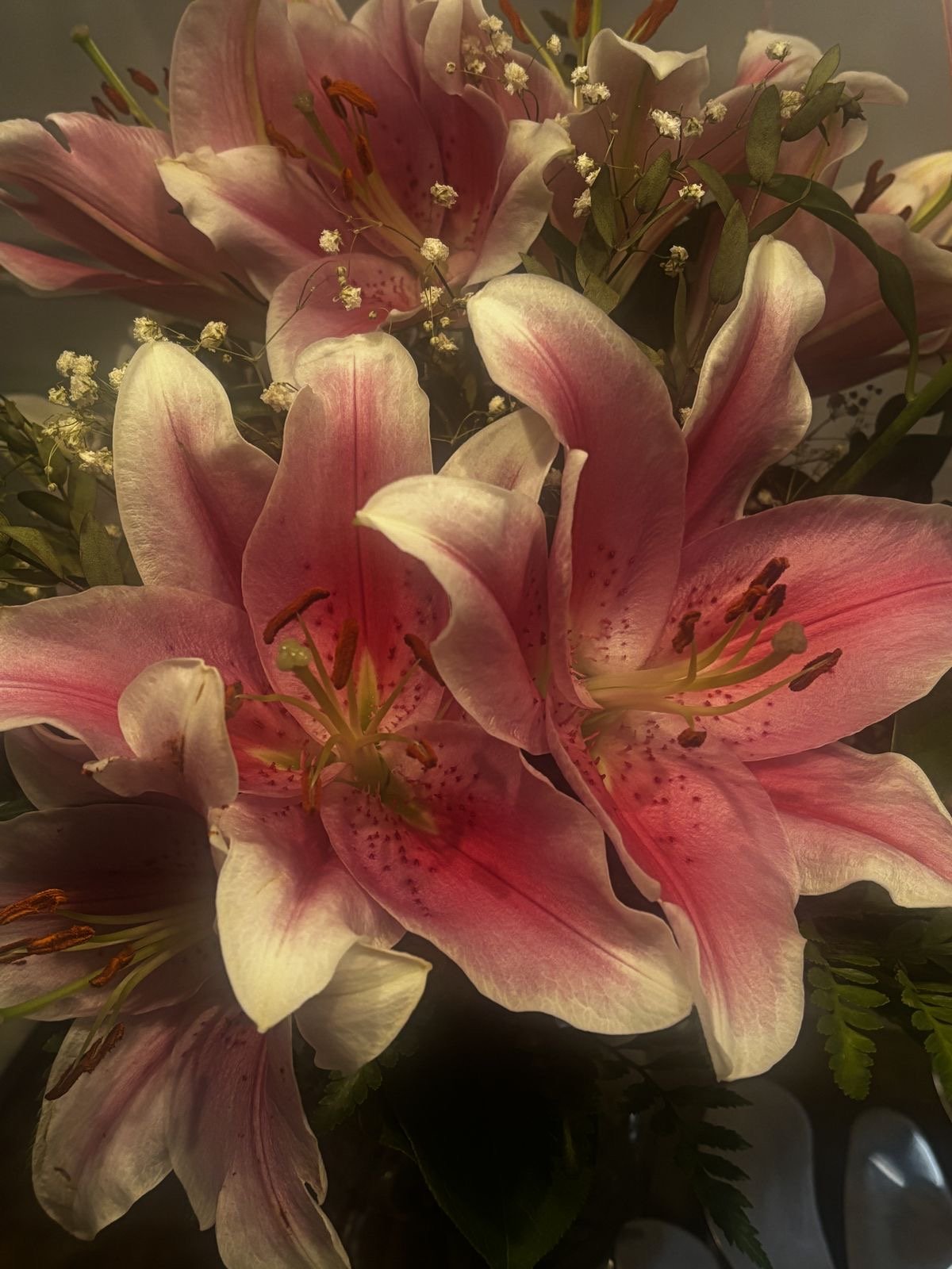 عـبـيــر الـــرشيـدي