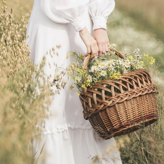 بشرى الغزاوي