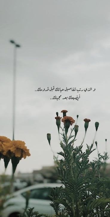 عبيدة الحاتمي