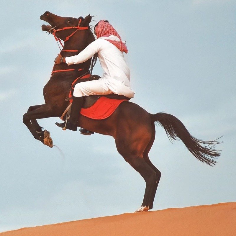 وليد الجهني