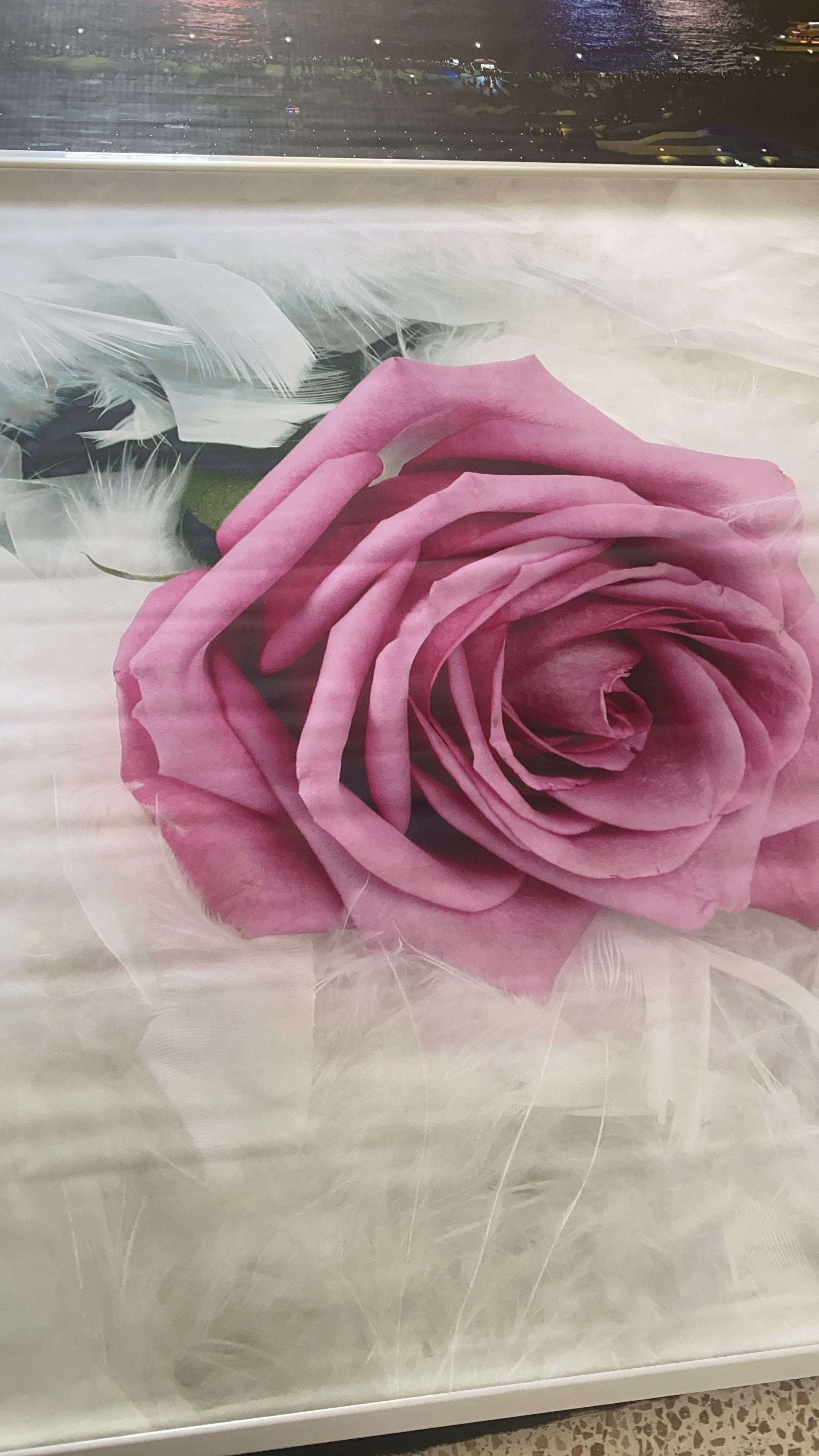 هاني الزهراني