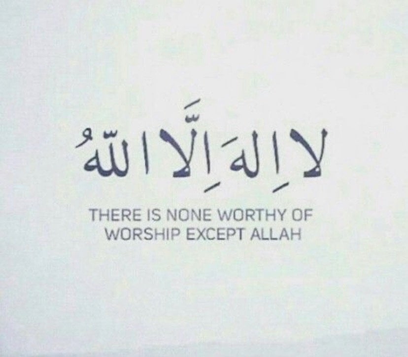 فيصل الحربي