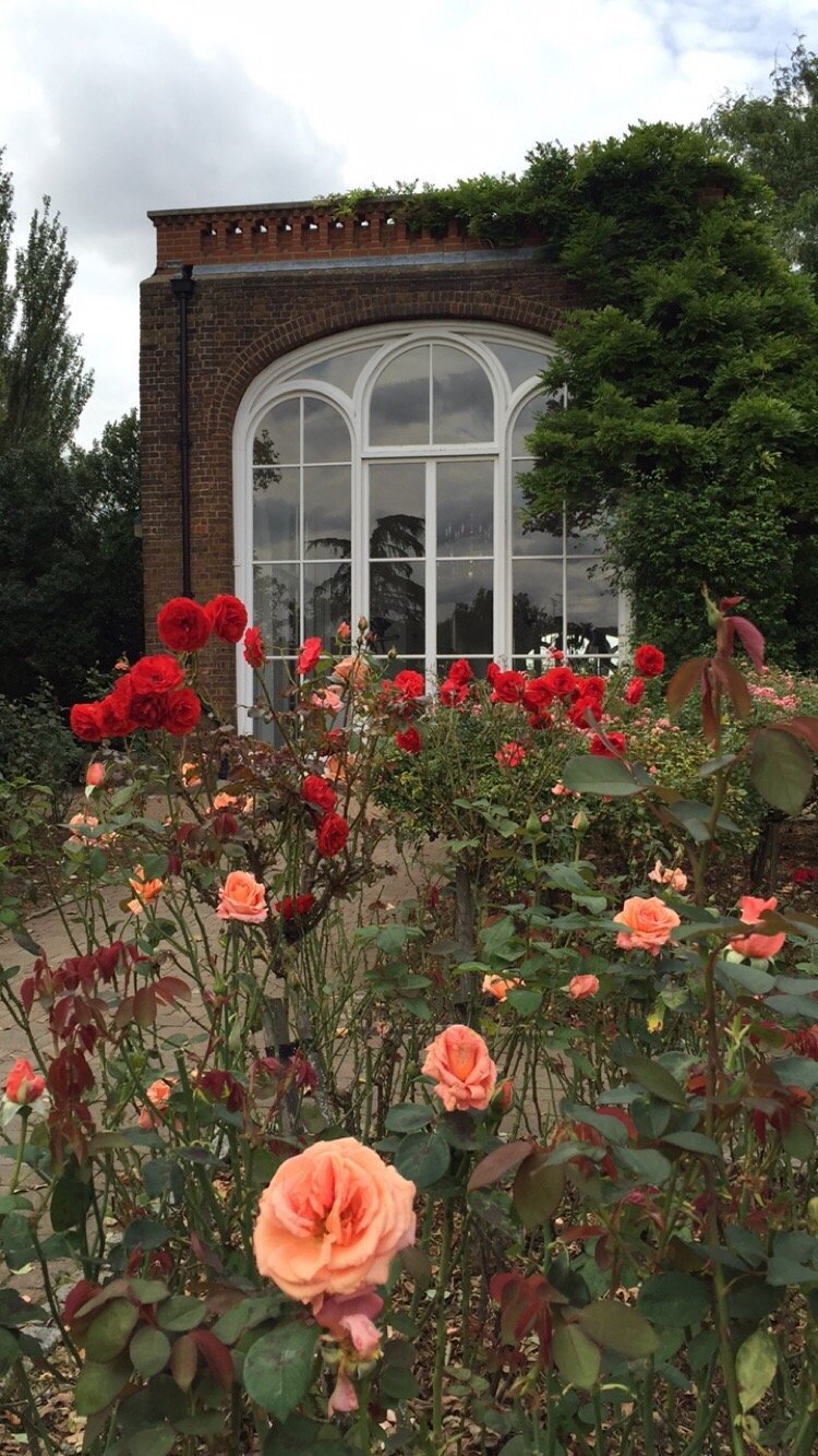 سوسو الرشيد