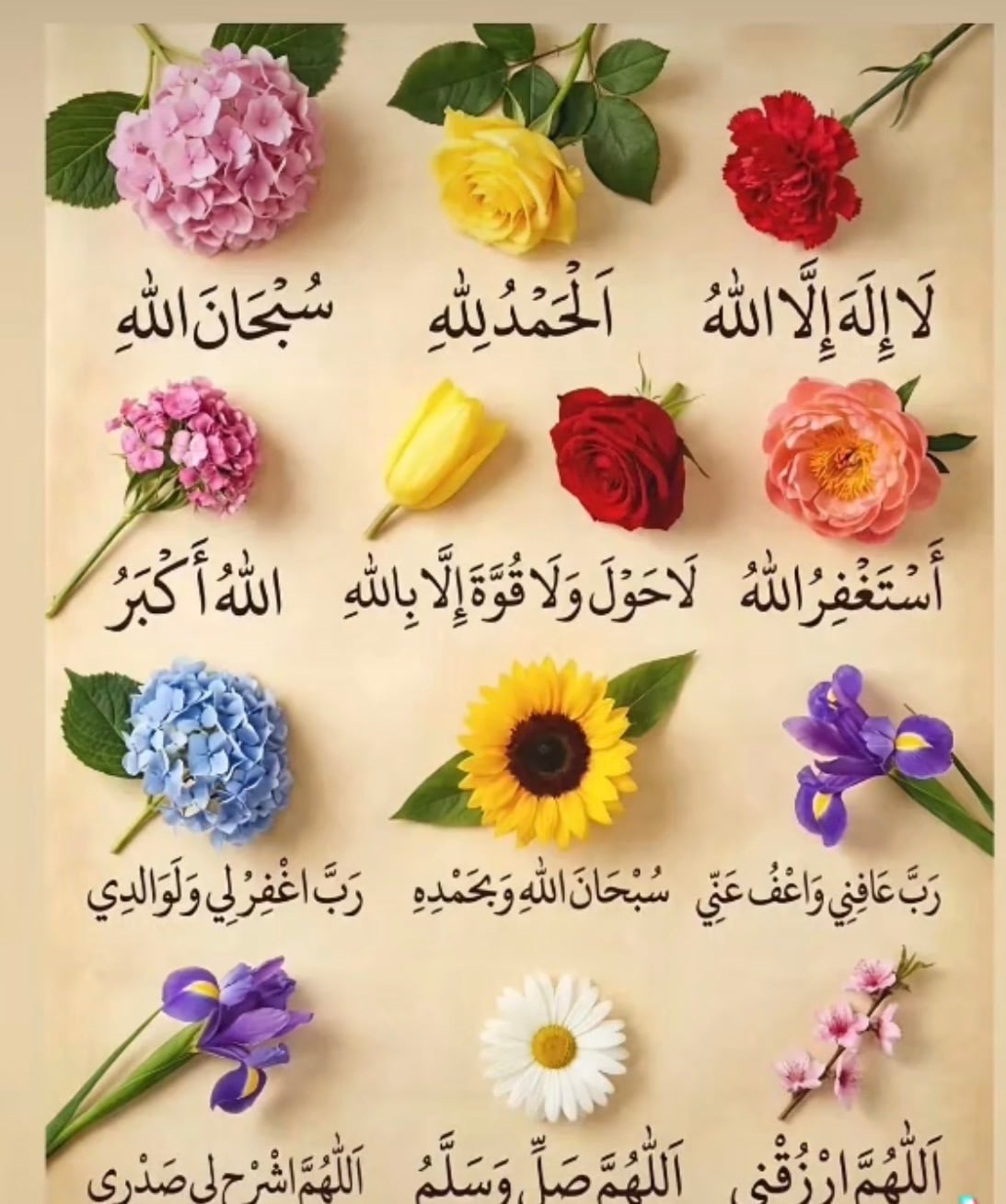 دولة محمد آل مشاري