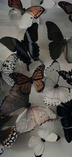 فاطمه معيني