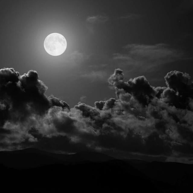 حمدان العمري