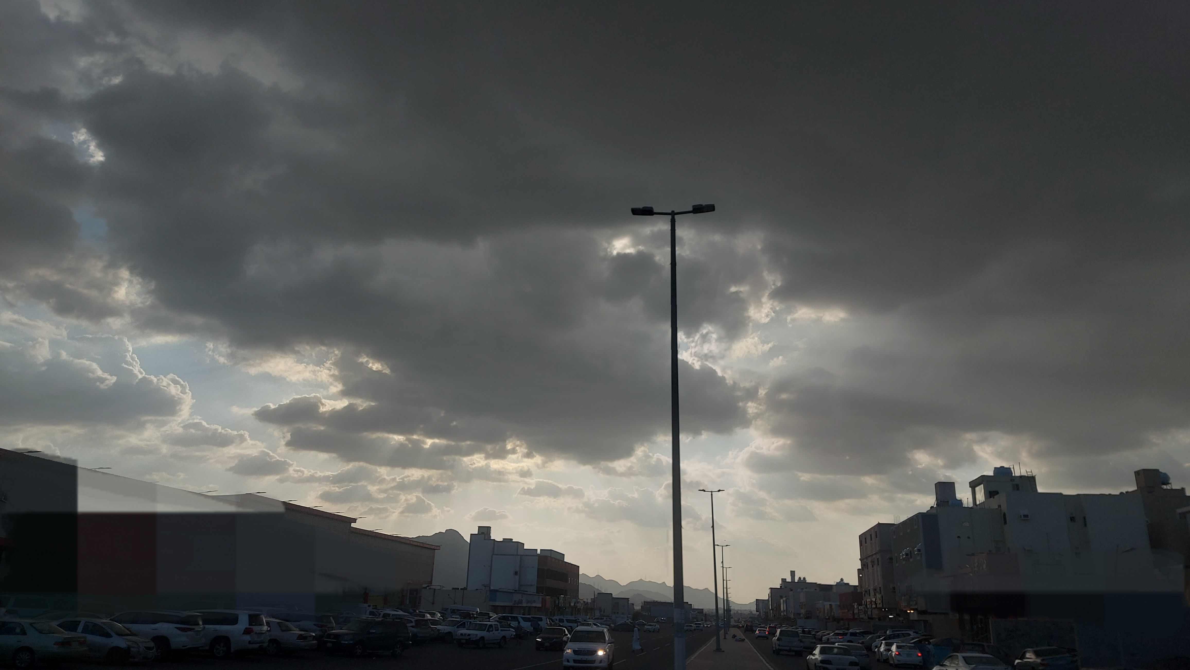 leyan alzhrani