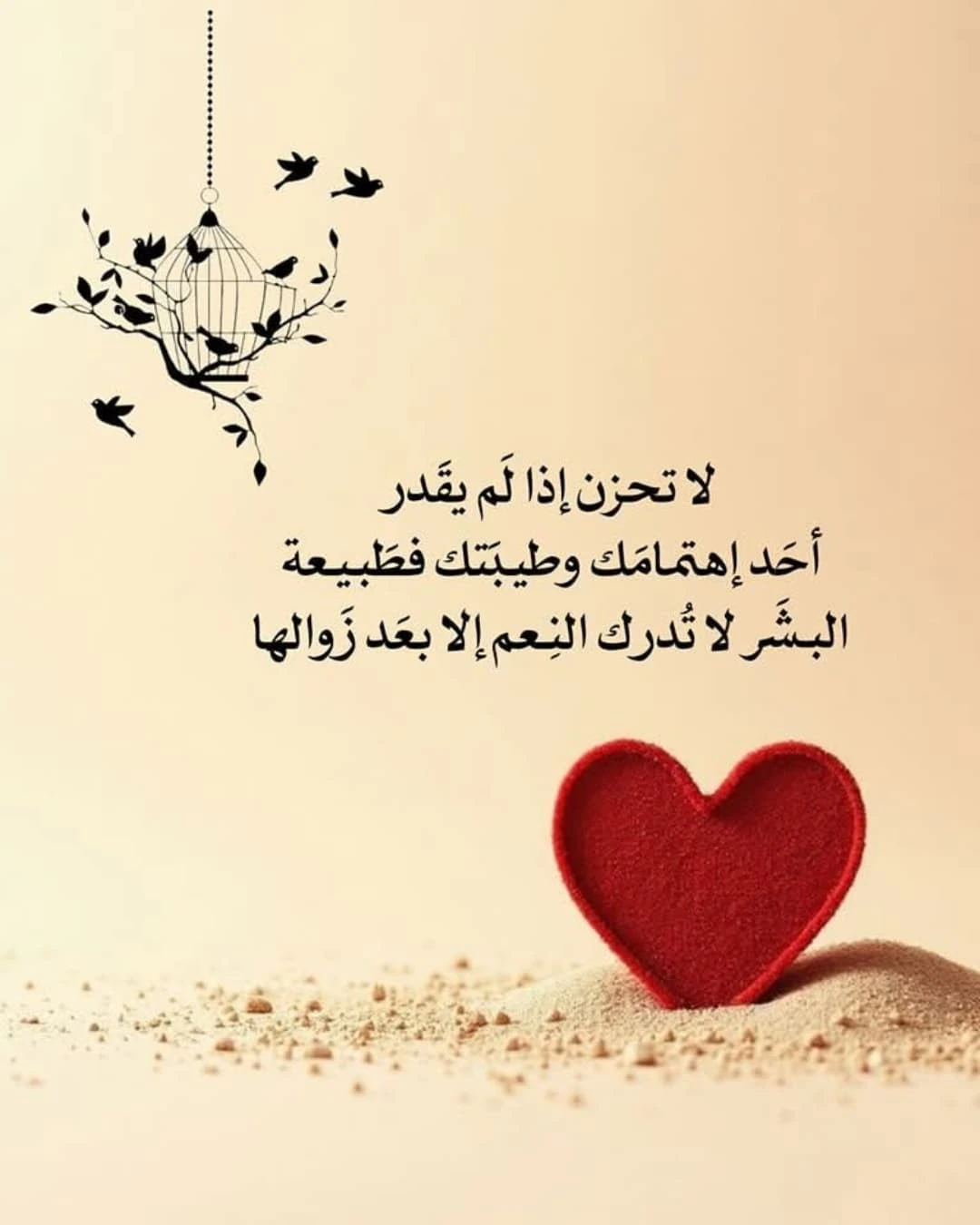 الجورية الهادئة