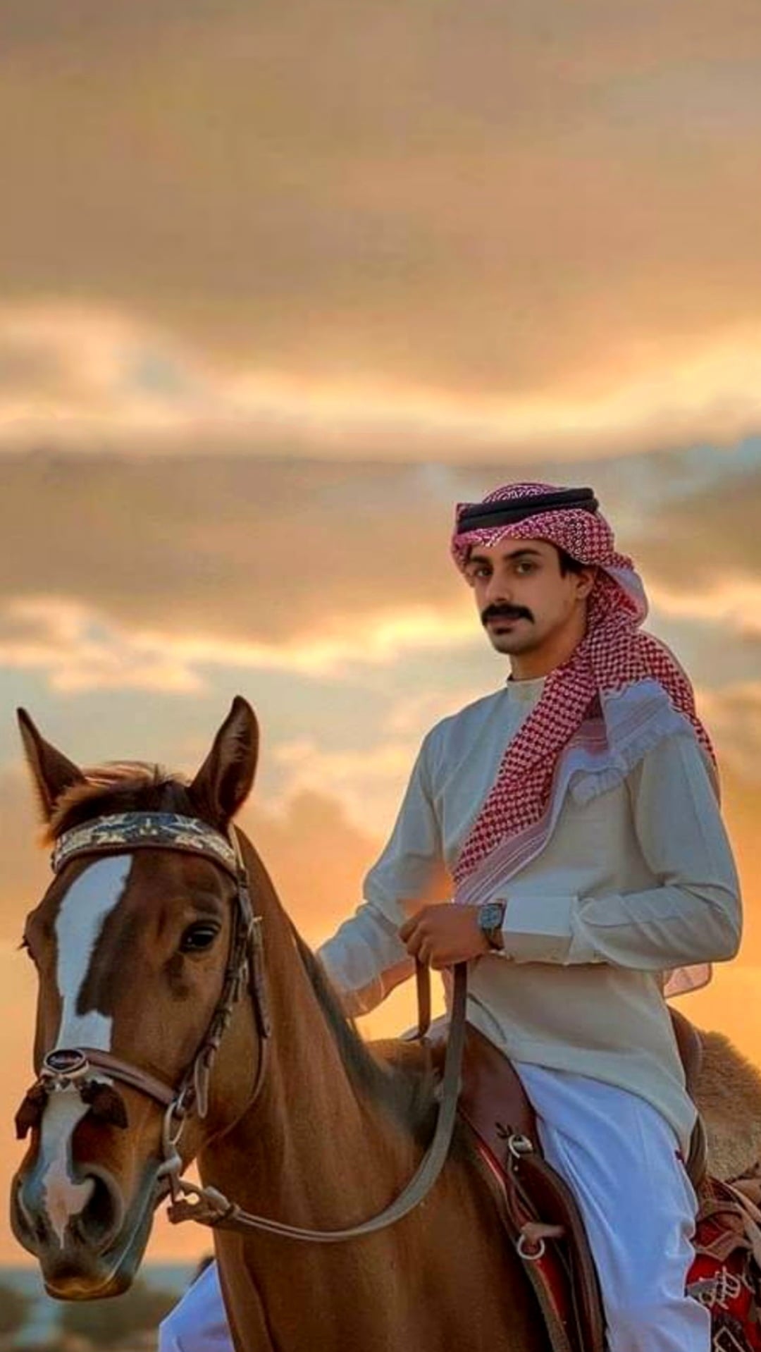 SULTAN ALKUBRANI