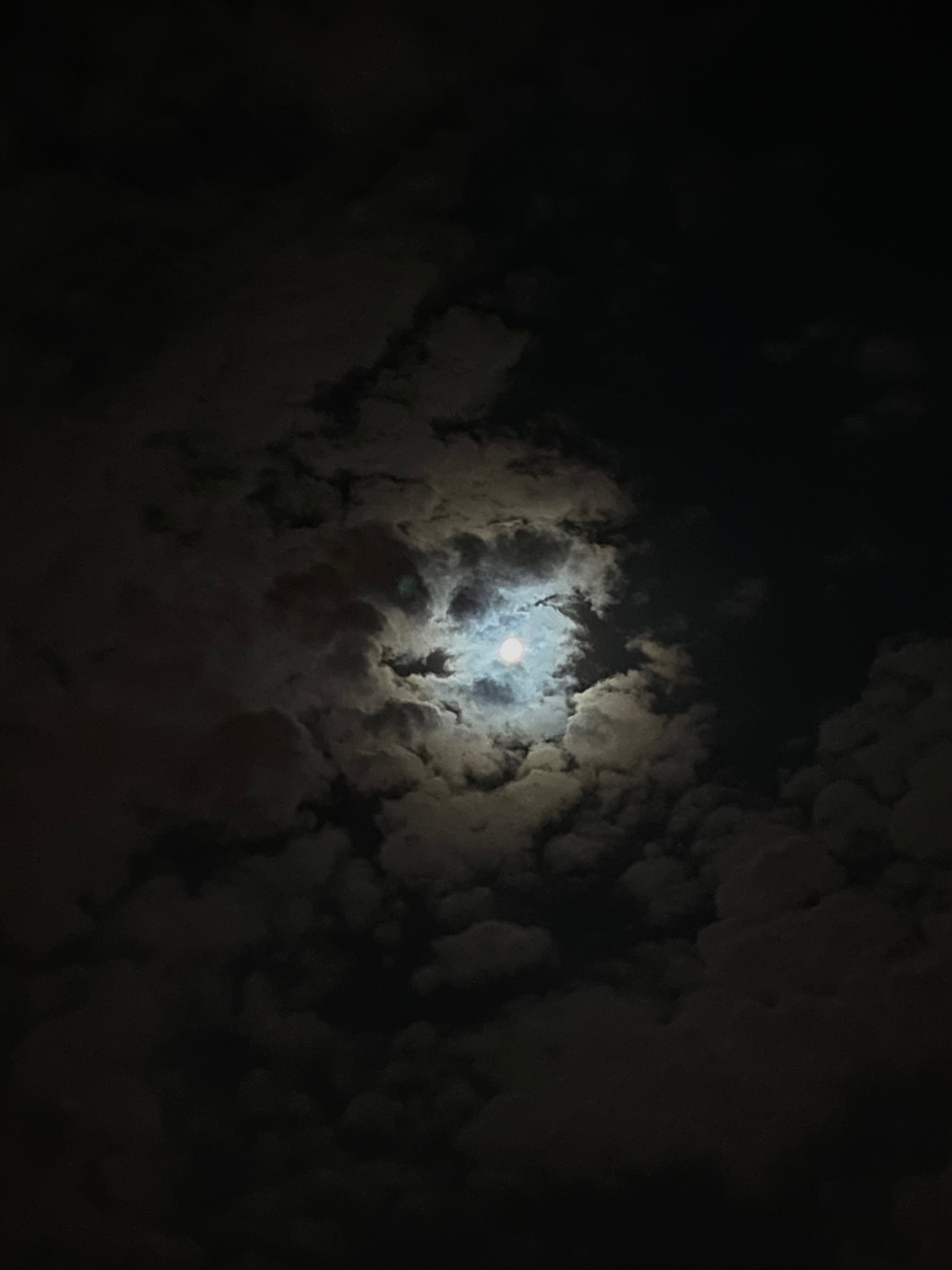عبدالعزيز الداودي