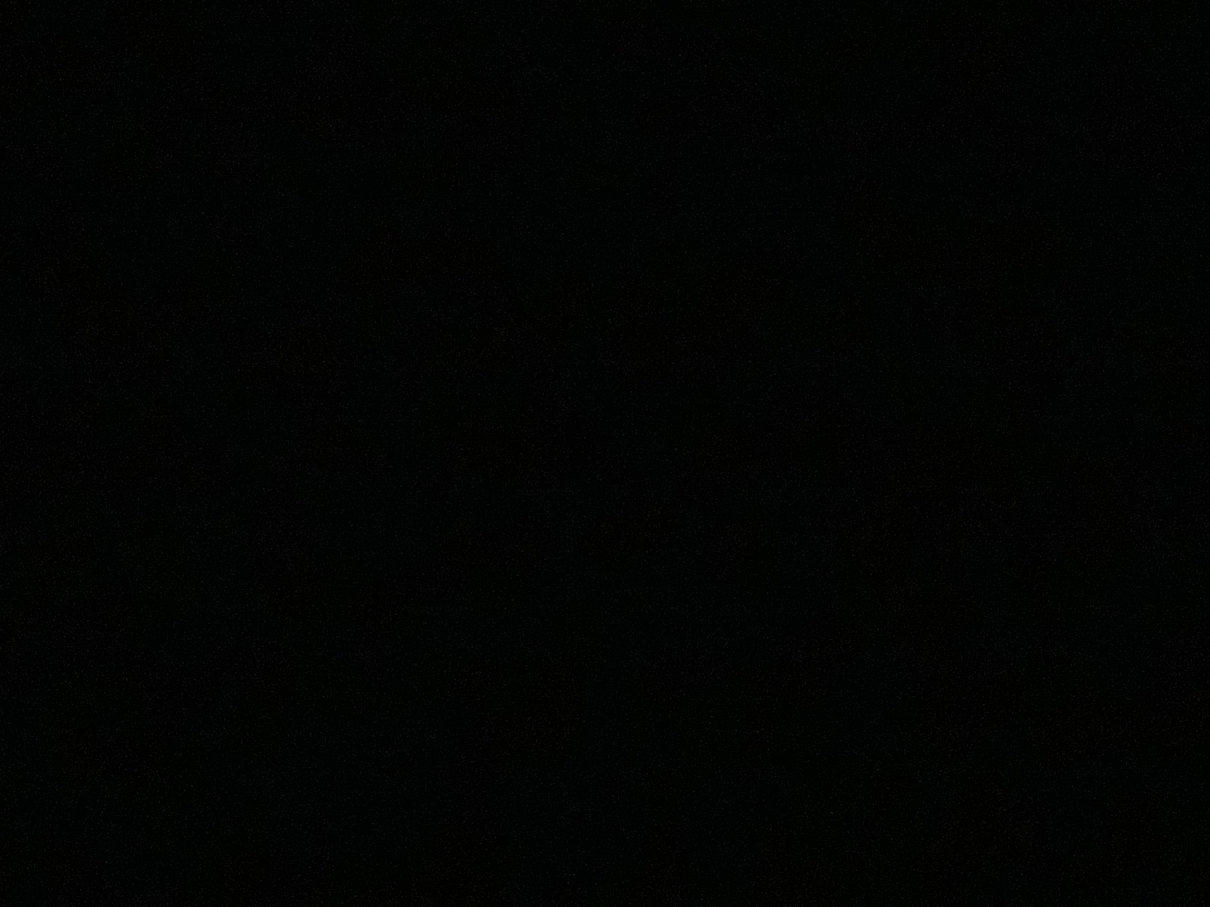 نوره بكري