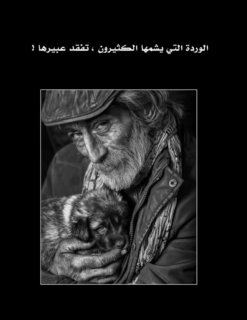 Ahmed Ali