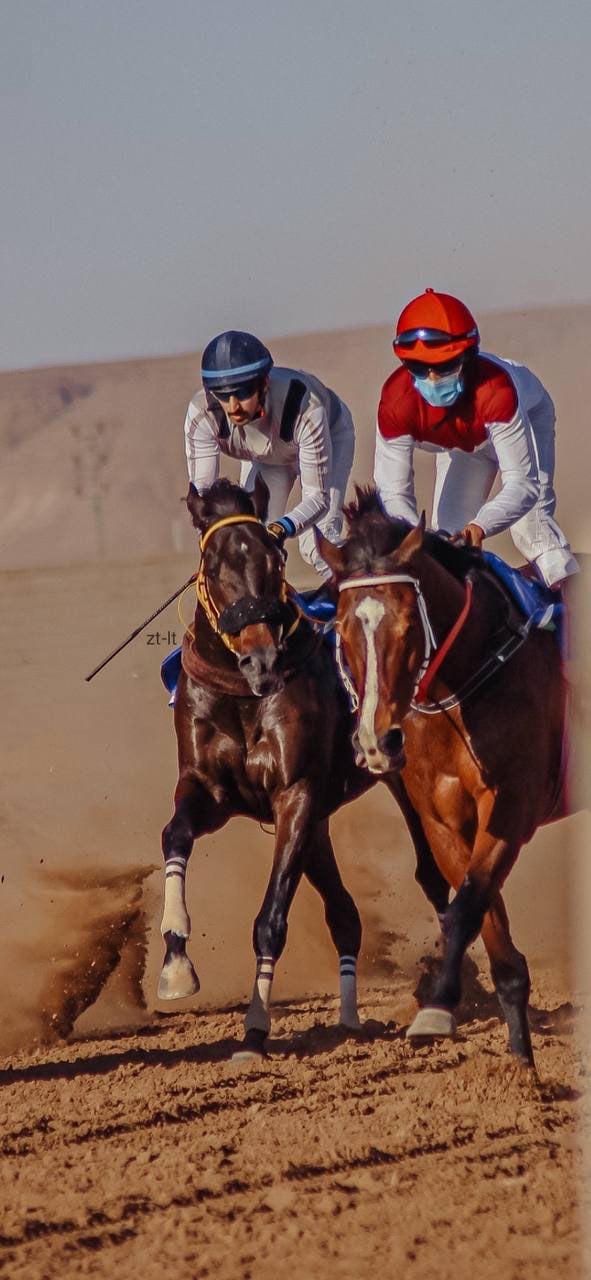 عقيل الايداء