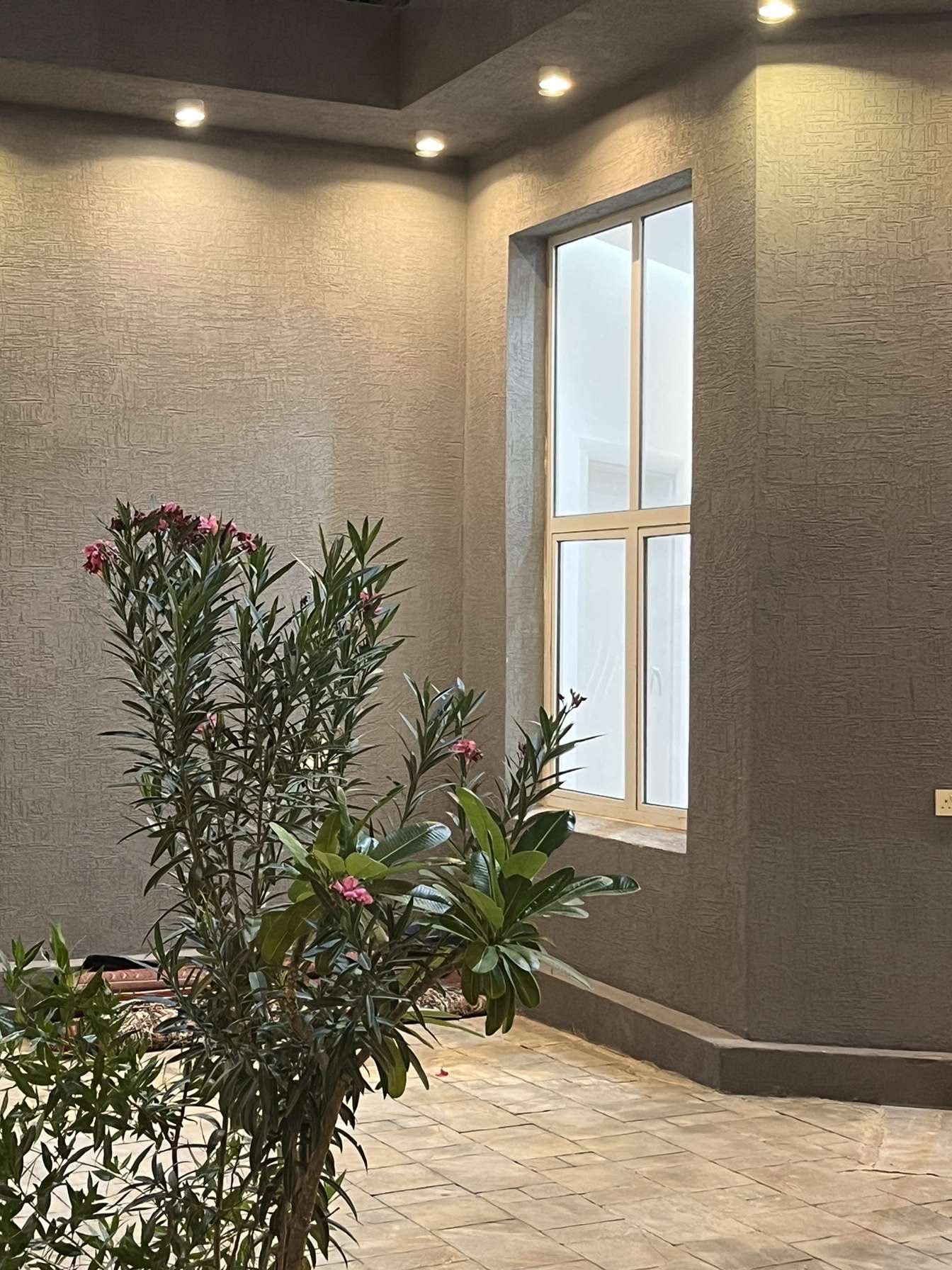 أم أحمد الحلوه