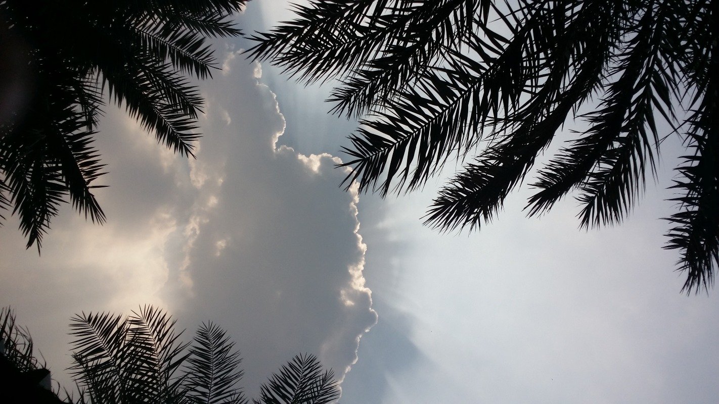 علي الحميدي