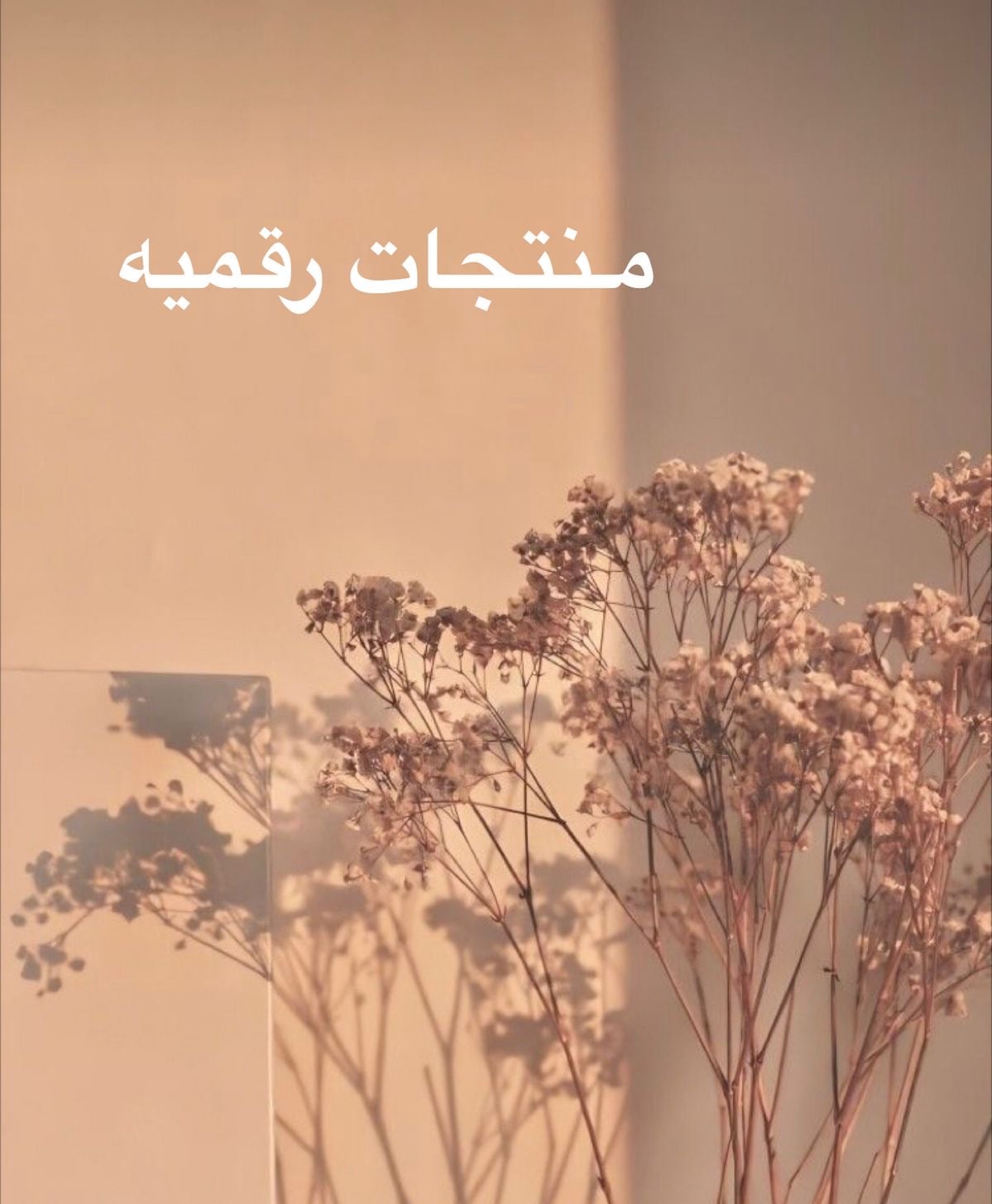 فاطمه الرشيدي