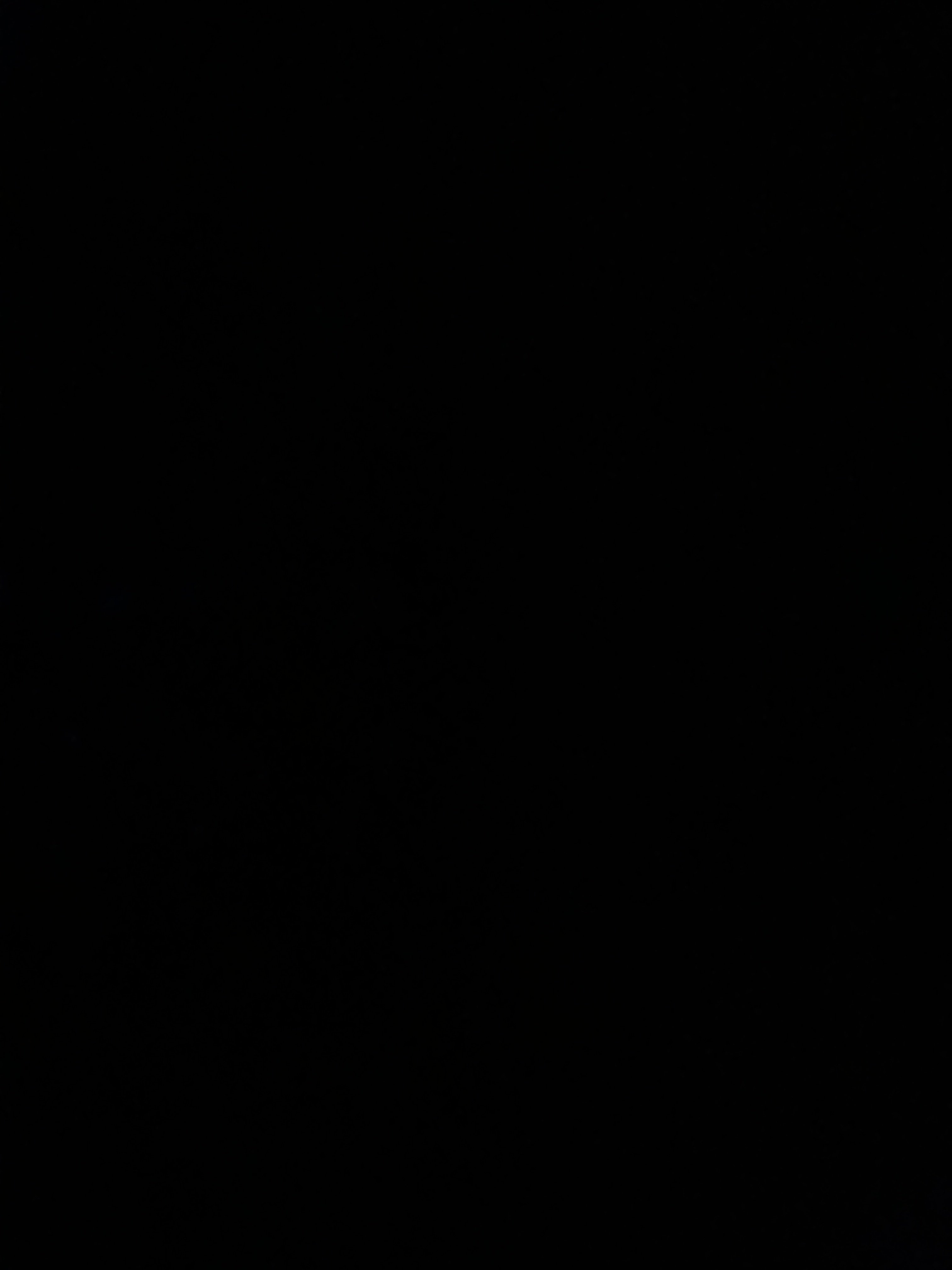 سالم الهولان