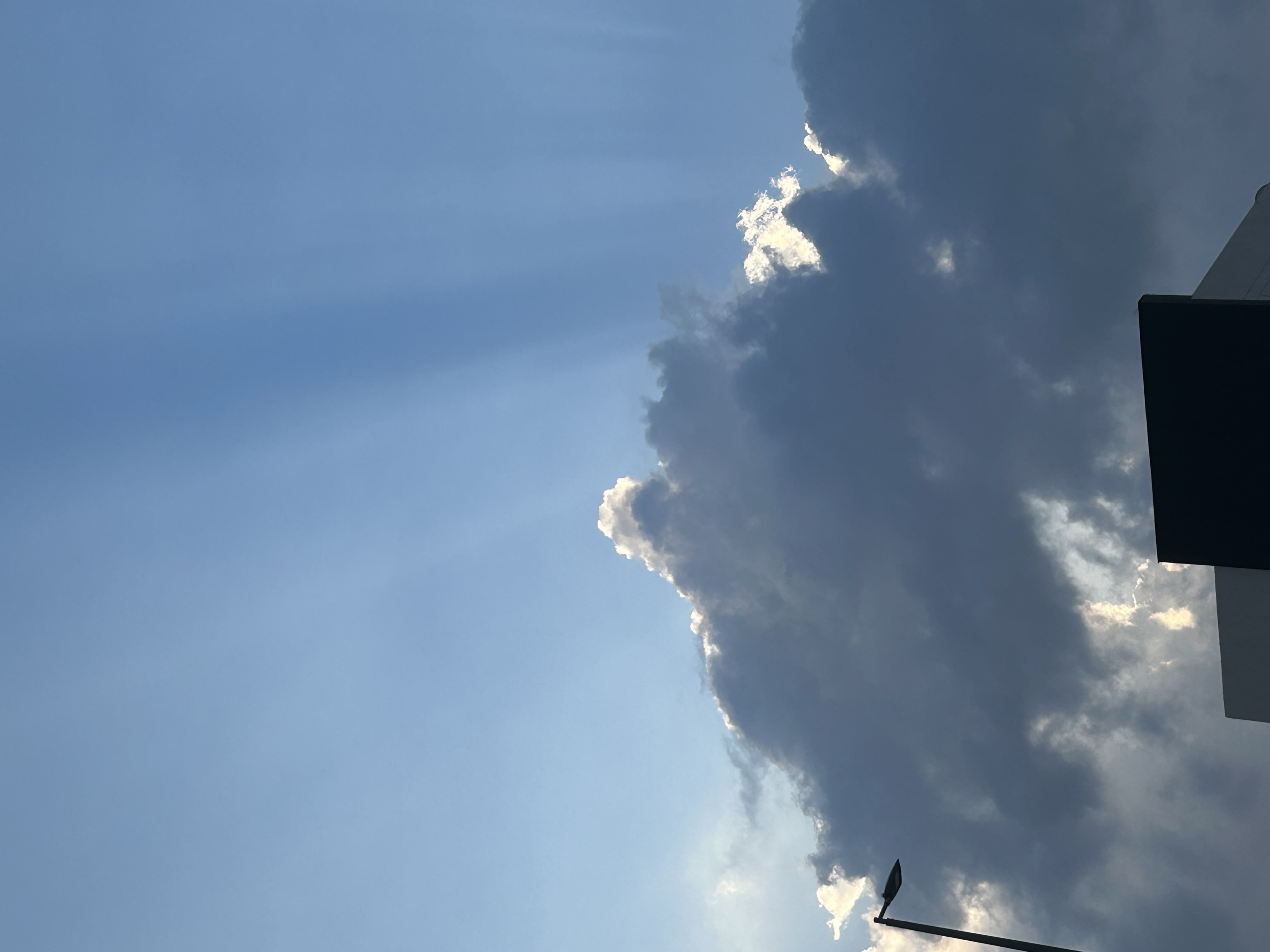 حصة عبدالرحمن