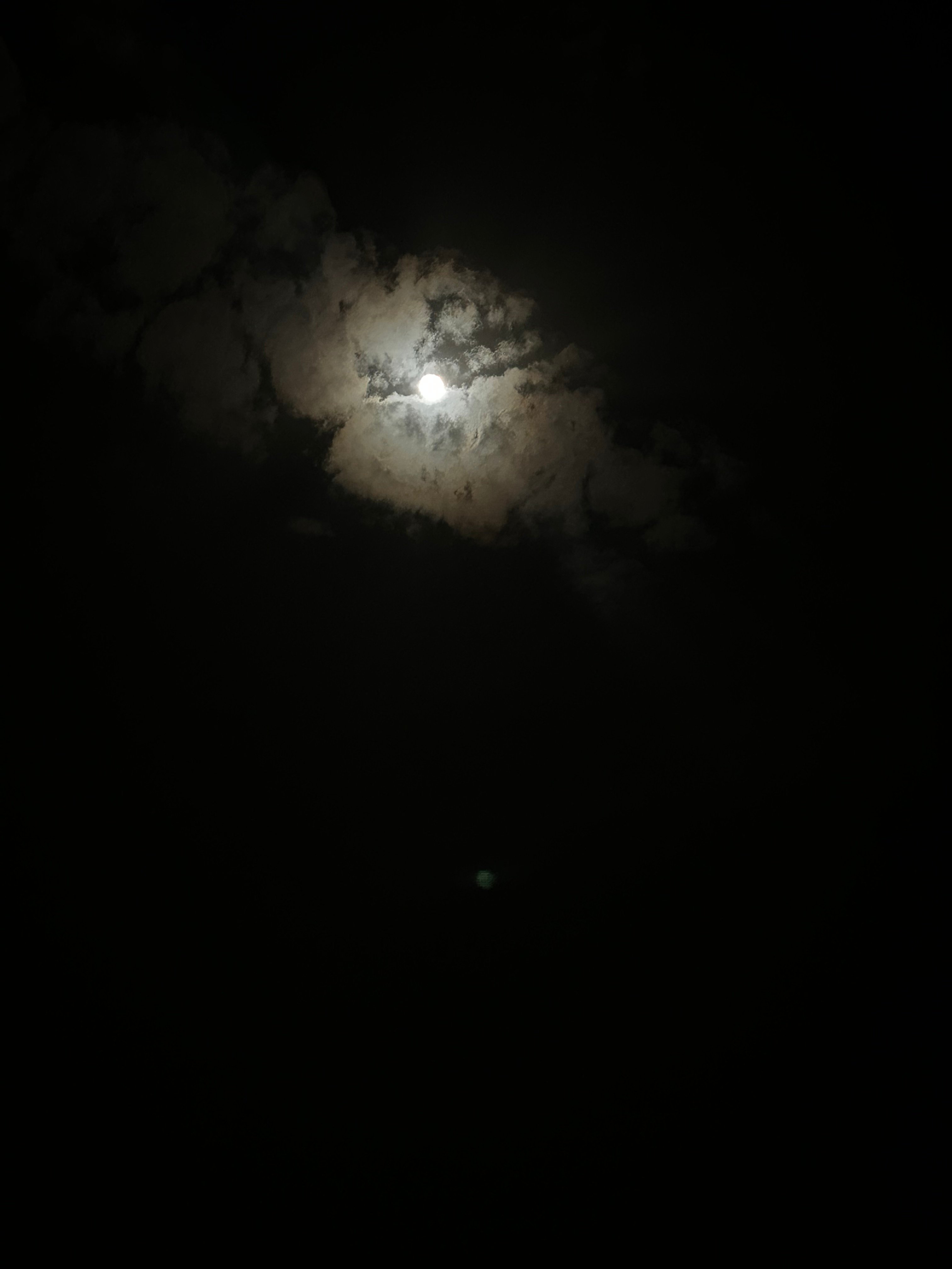 رولا 