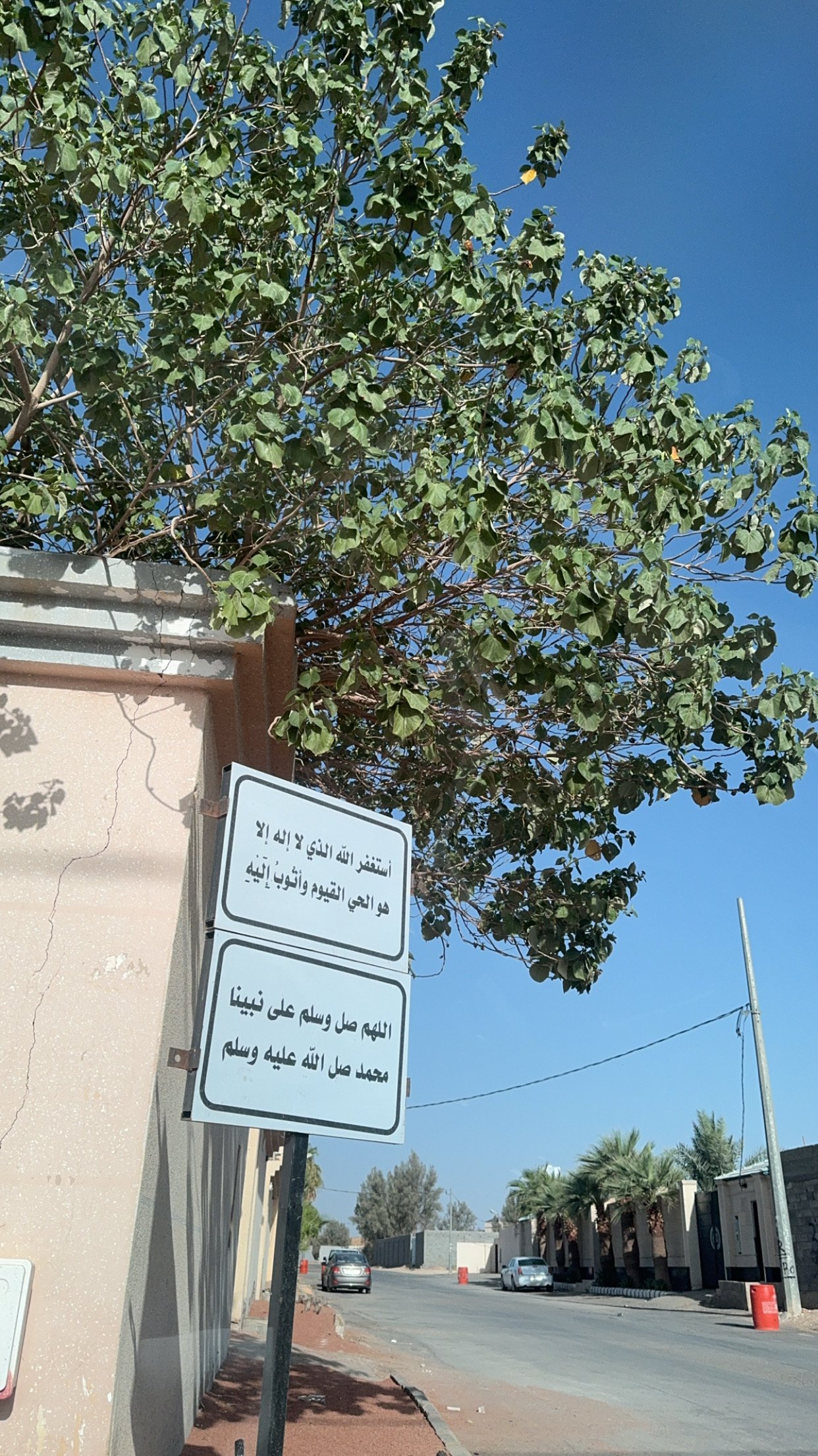 عبدالعزيز الرشيدي