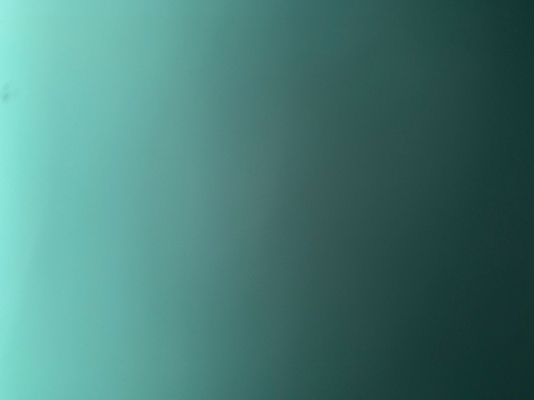 ندى عوض