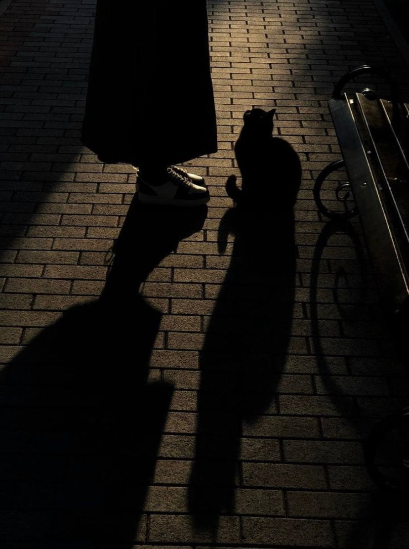 سلمى الربعي