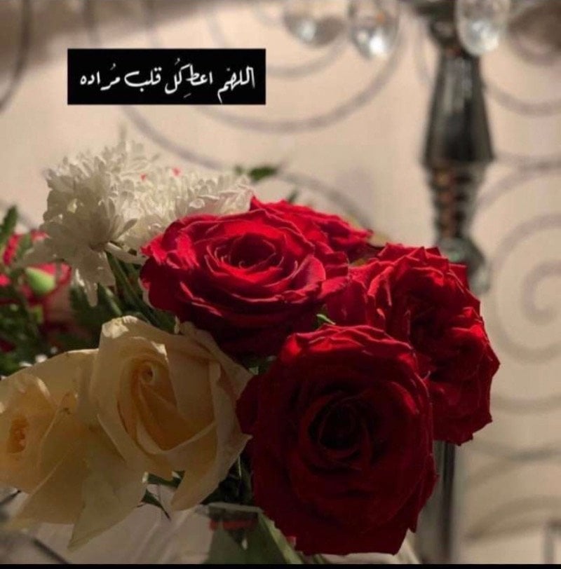 فاطمه العطوي