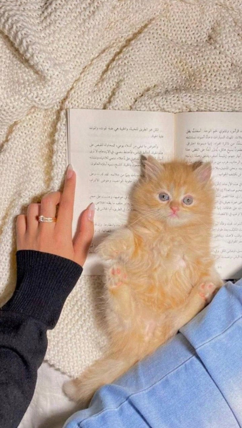 ريم 