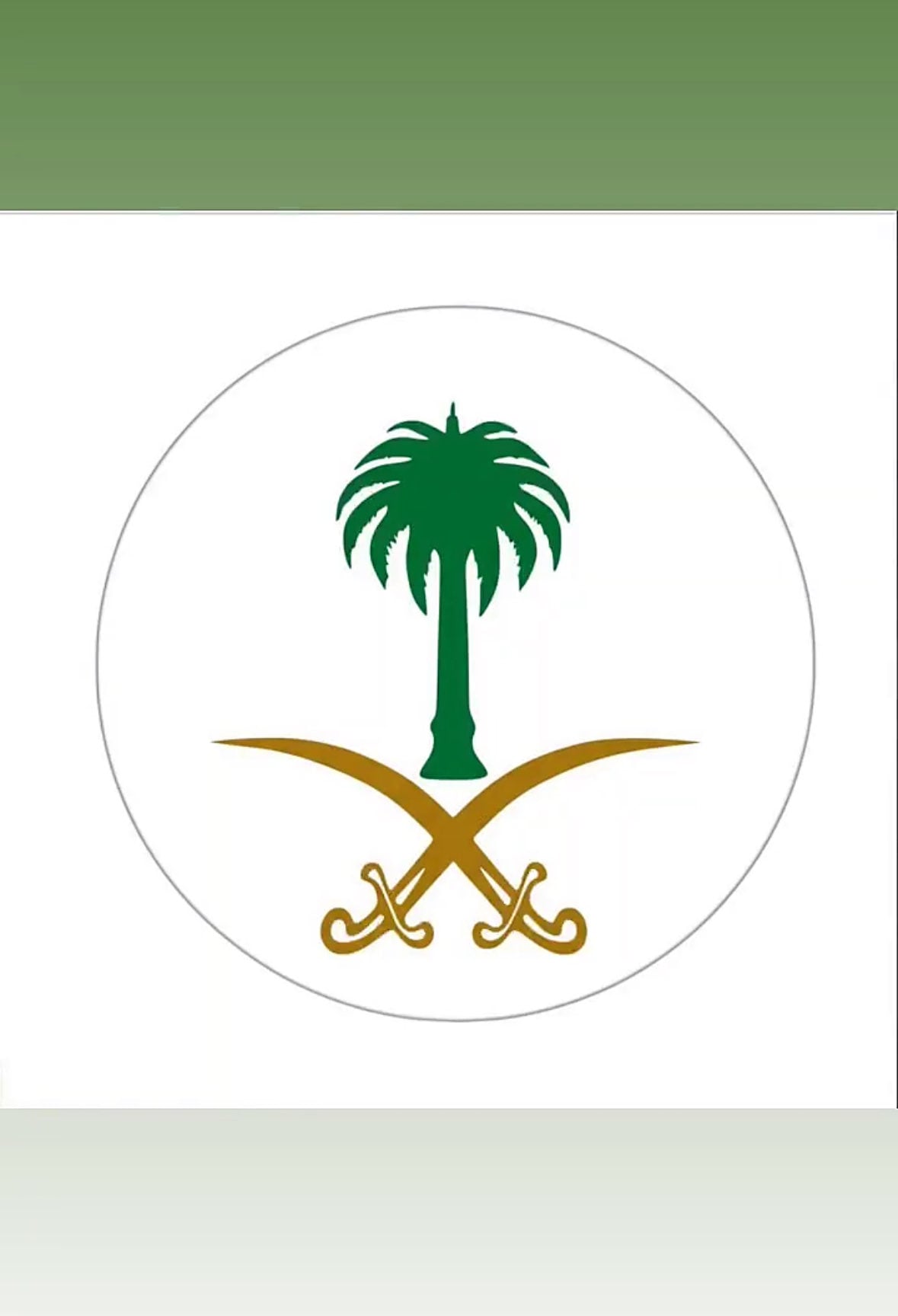 Mansour Albalawi