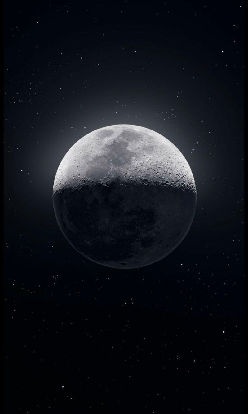 عمر بن فيصل