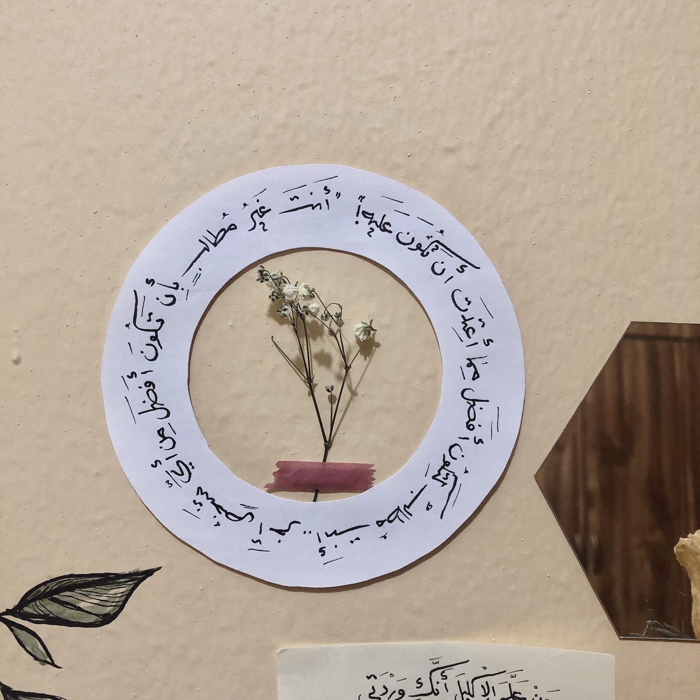 حفصه الجبري