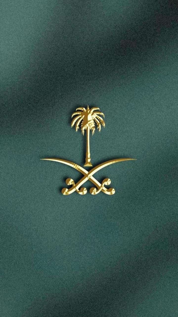 wajdi alharbi