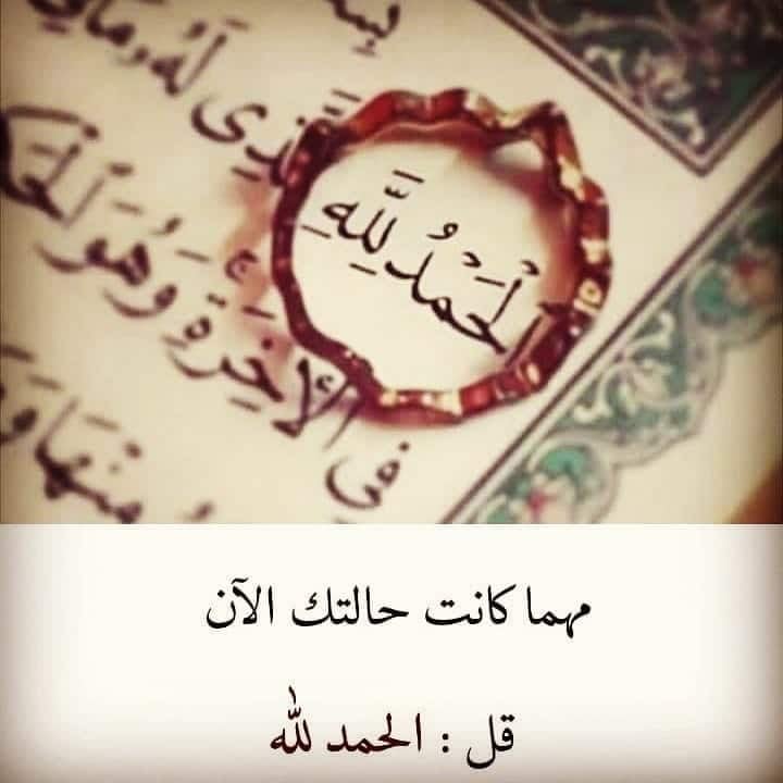 احمد الشهري