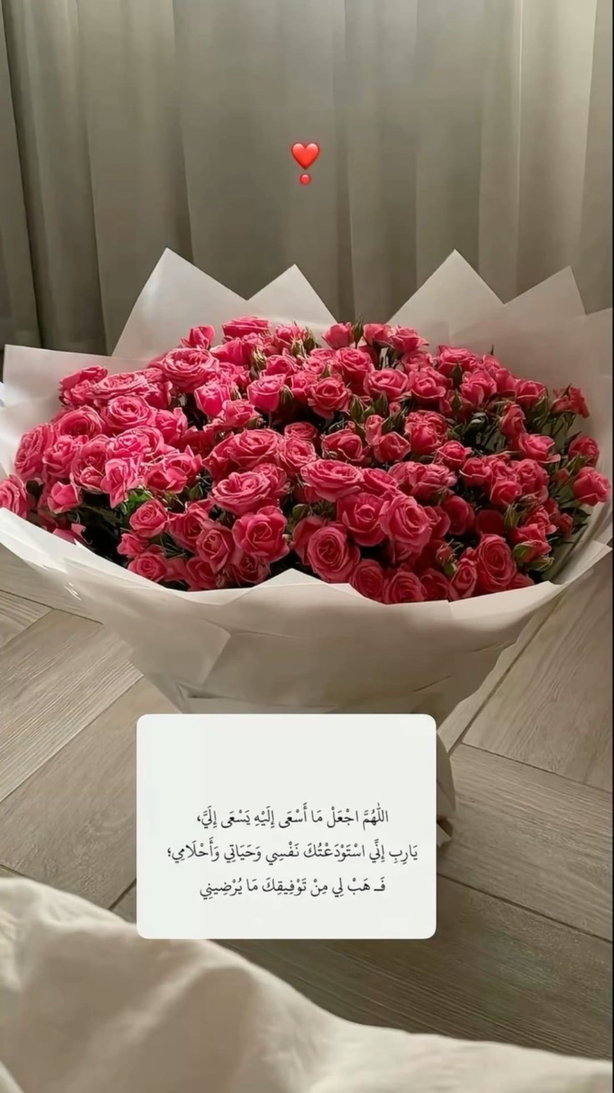 حلا محمد