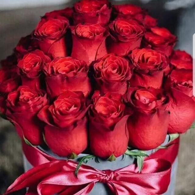 رحاب العميري