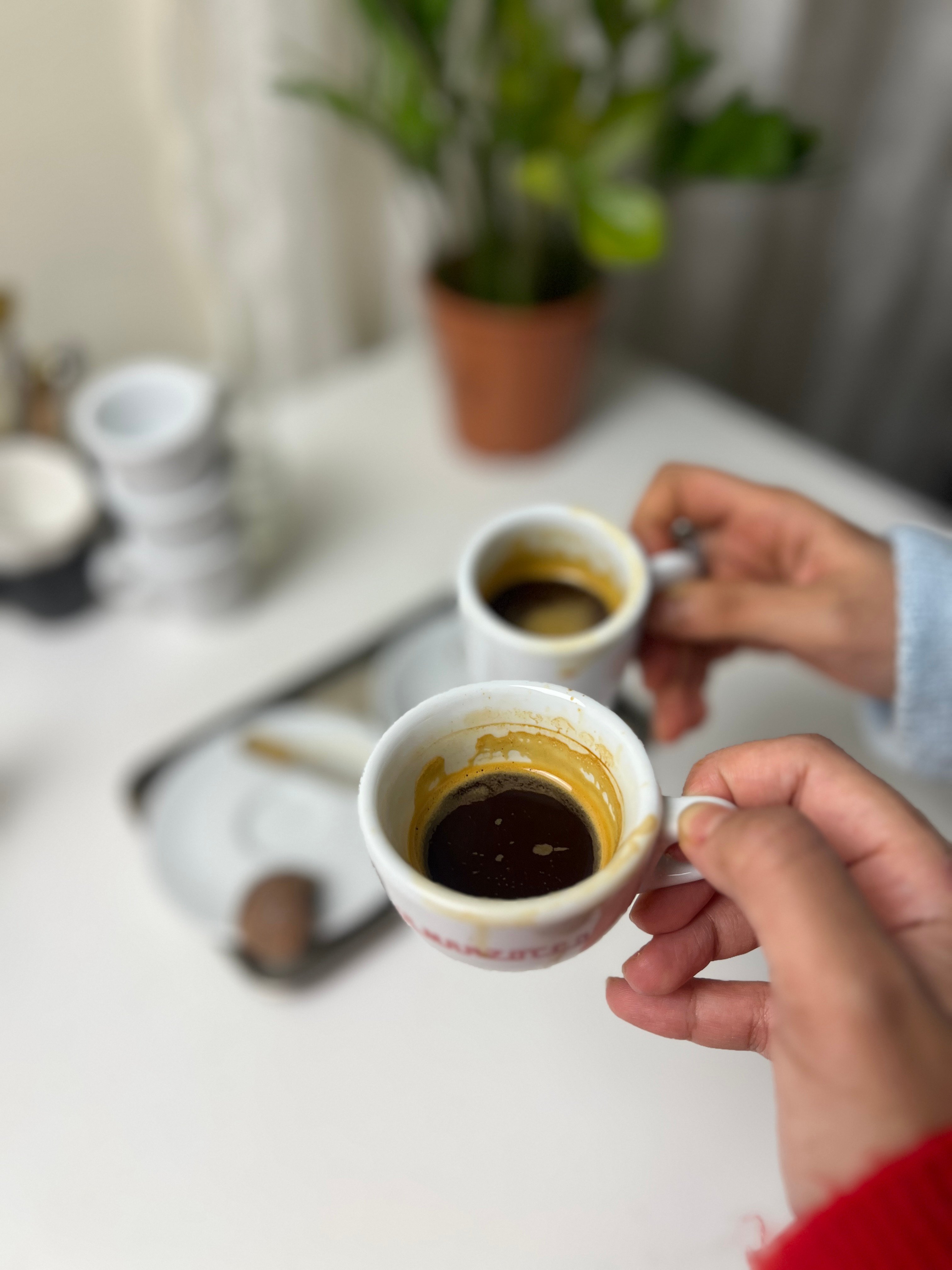 حصة المباركي