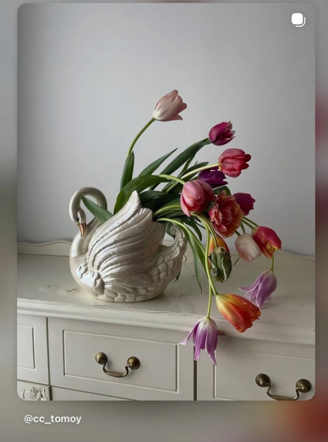 مها عبدالله