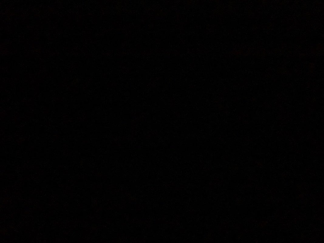 ابهار عبد الفتاح