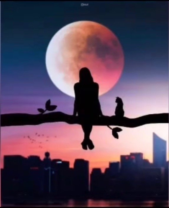 فاطمه حكمي