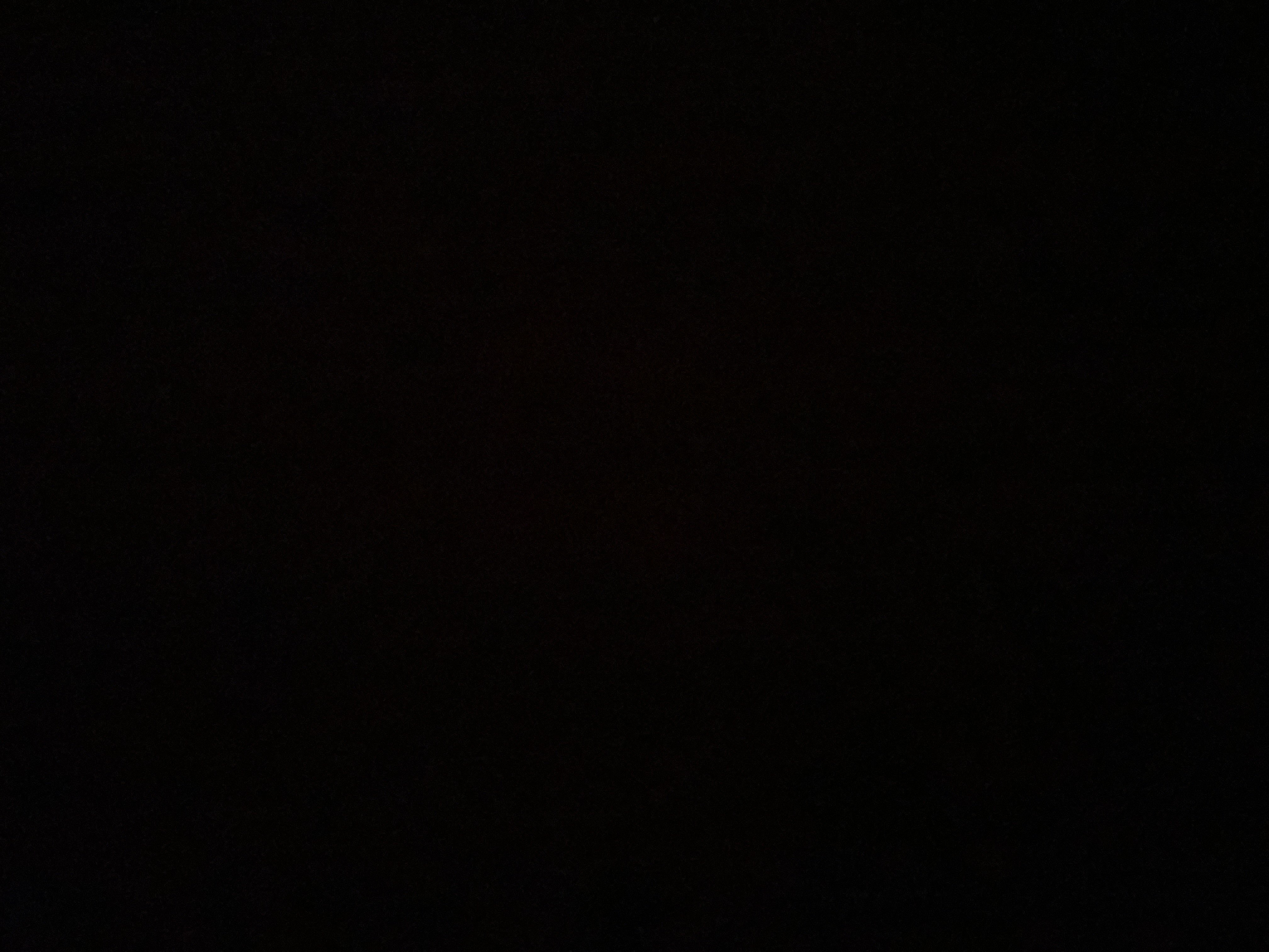 لانا المطيري